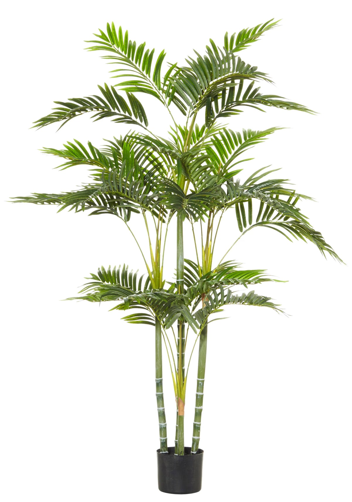 Cane Palm Real Touch