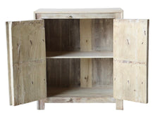 2 door cabinet
